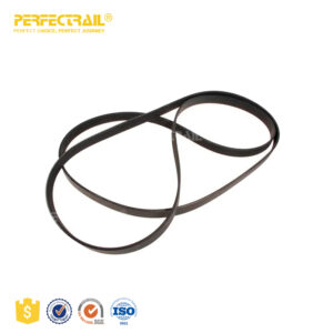 PERFECTRAIL PQS500600 V-Ribbed Drive Belt