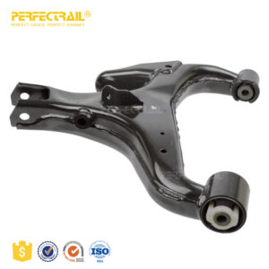 PERFECTRAIL RGG500081 Control Arm